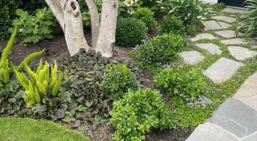 The Benefits Of Green Landscaping And Hardscaping